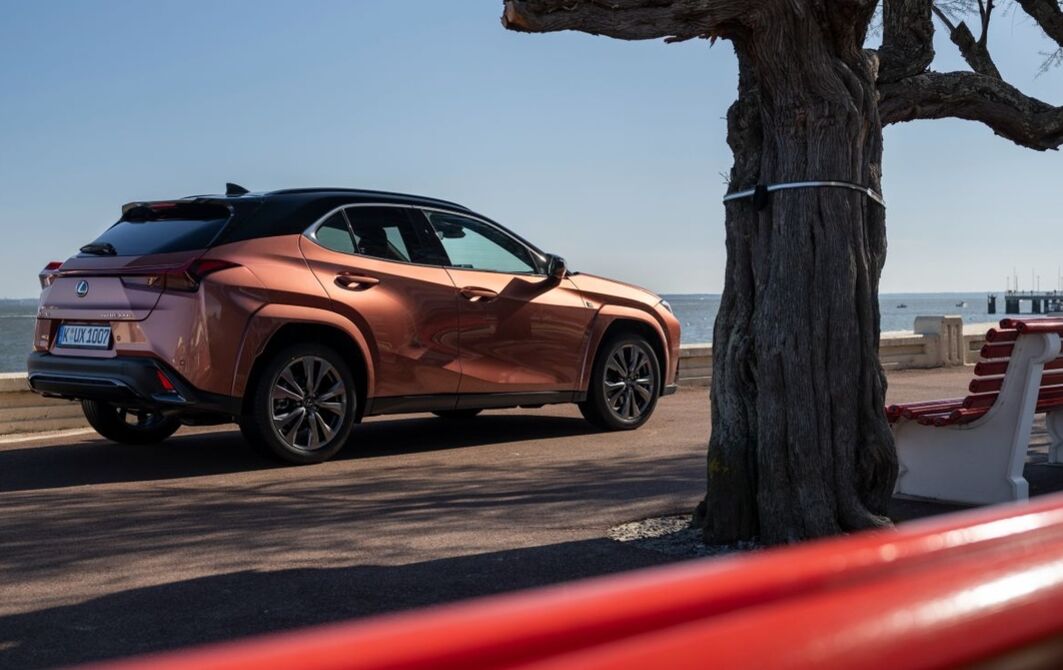 Erster Test: Lexus UX 300h